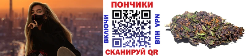 Купить закладки  Шахты  Бошки Шишки ГИДРОПОН 
